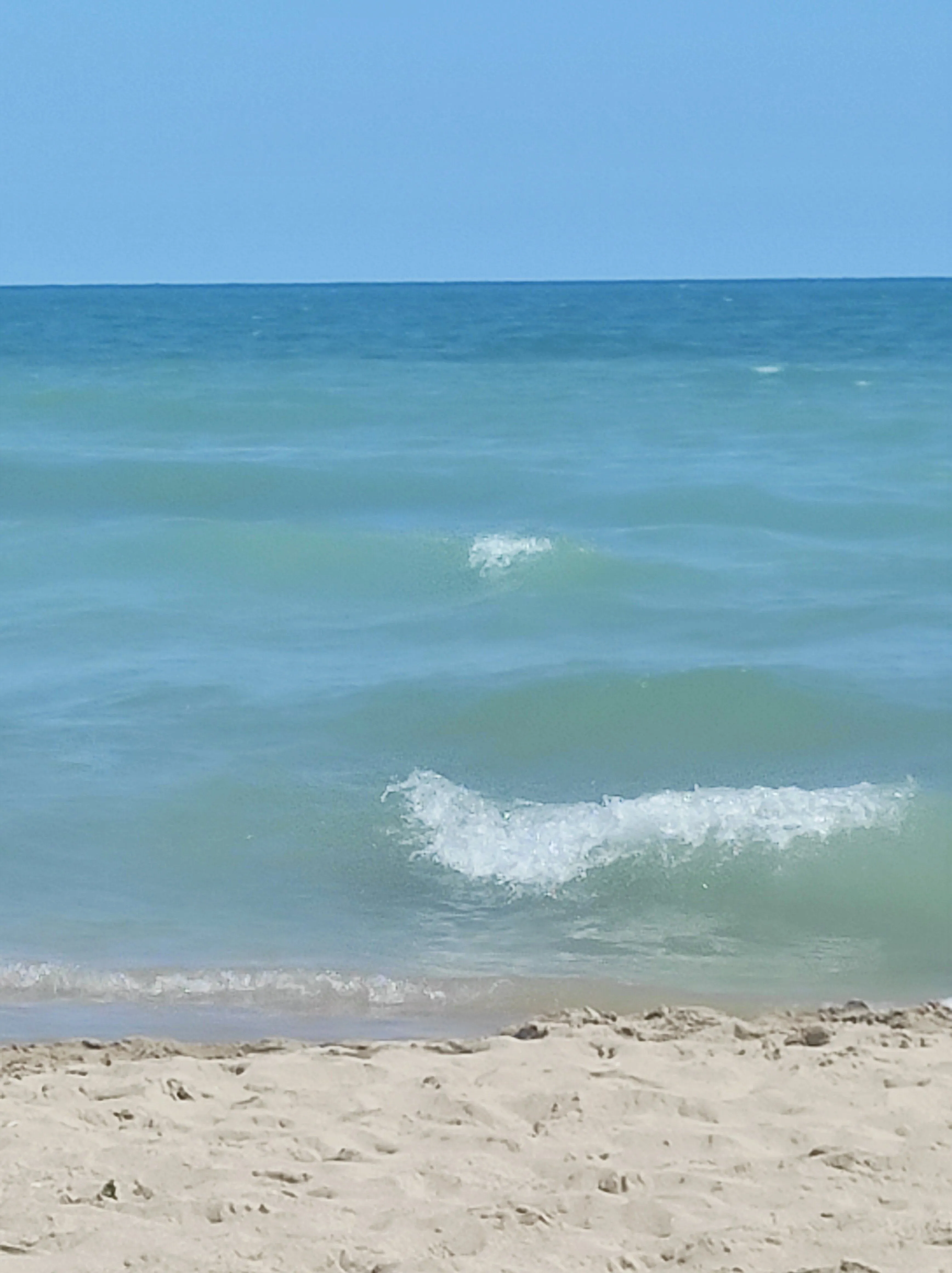 IMG_20210831_123725.webp