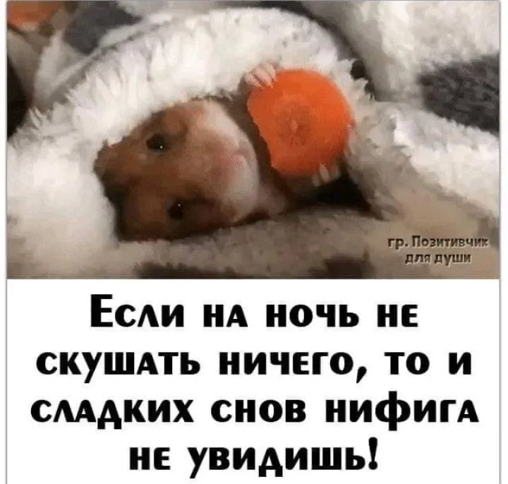 IMG_20210901_164425.webp
