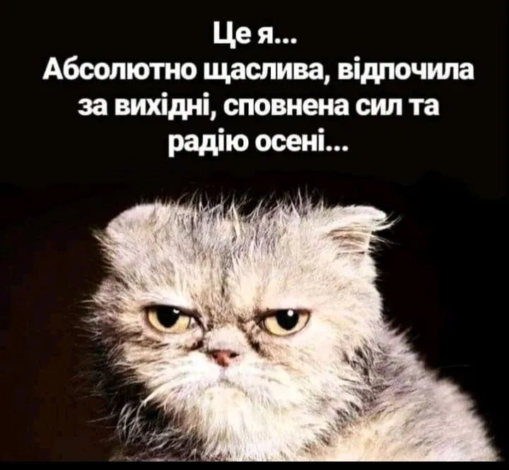 IMG_20210922_104210.webp