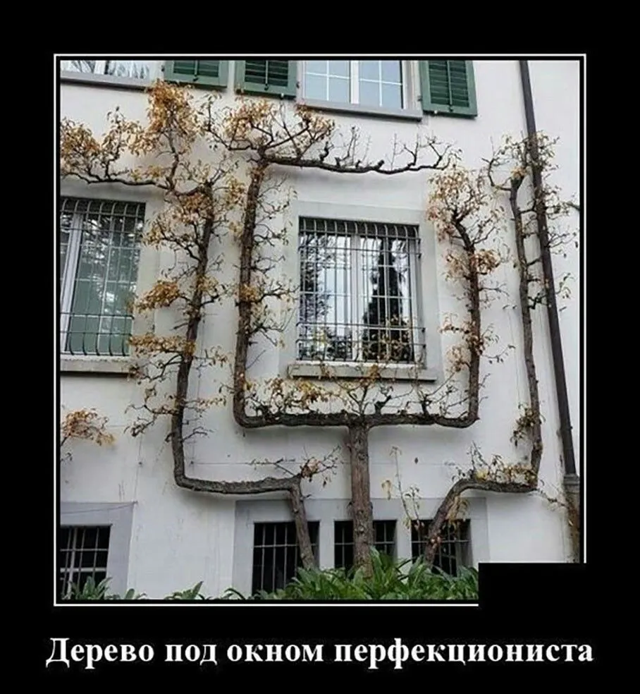 IMG_20210925_125218_847.webp