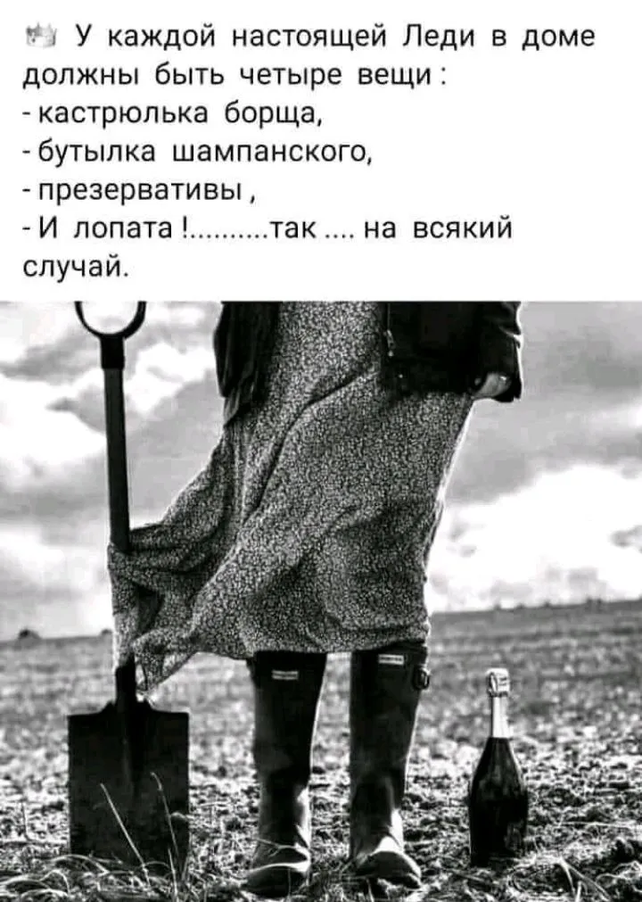 IMG_20211009_005855.webp