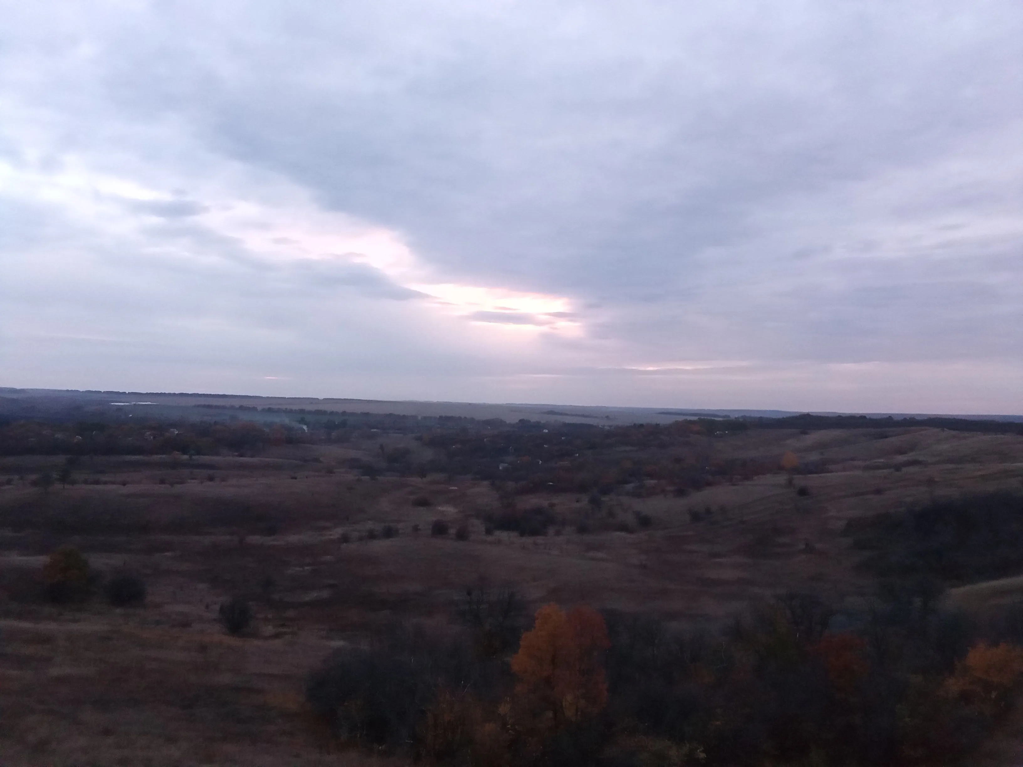 IMG_20211016_174303.webp