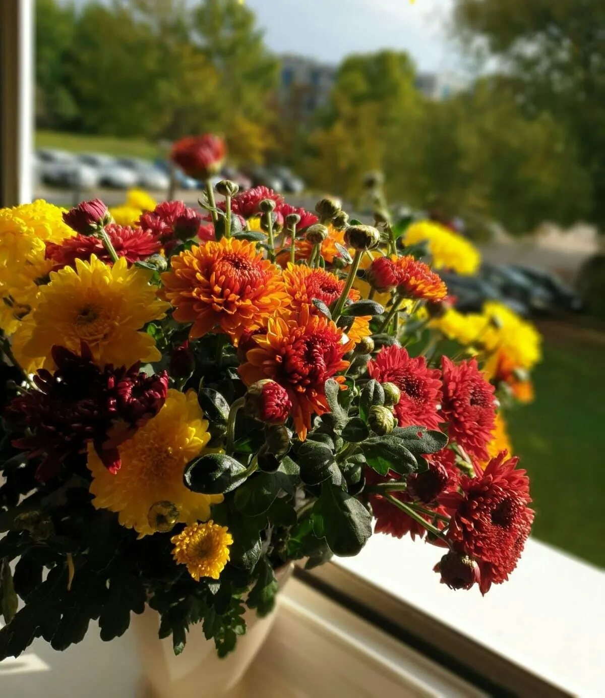 IMG_20211017_074515_495.webp