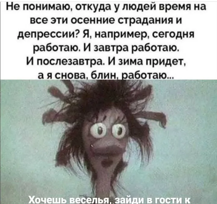 IMG_20211017_074913.webp