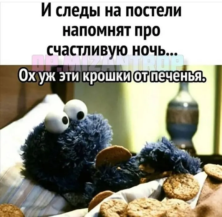 IMG_20211017_205316.webp