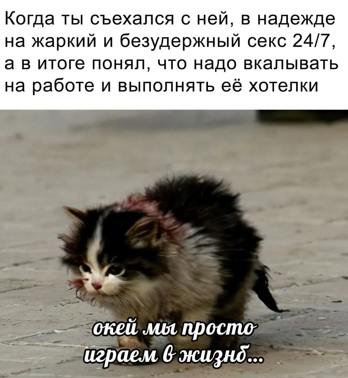 IMG_20211021_014658_682.webp