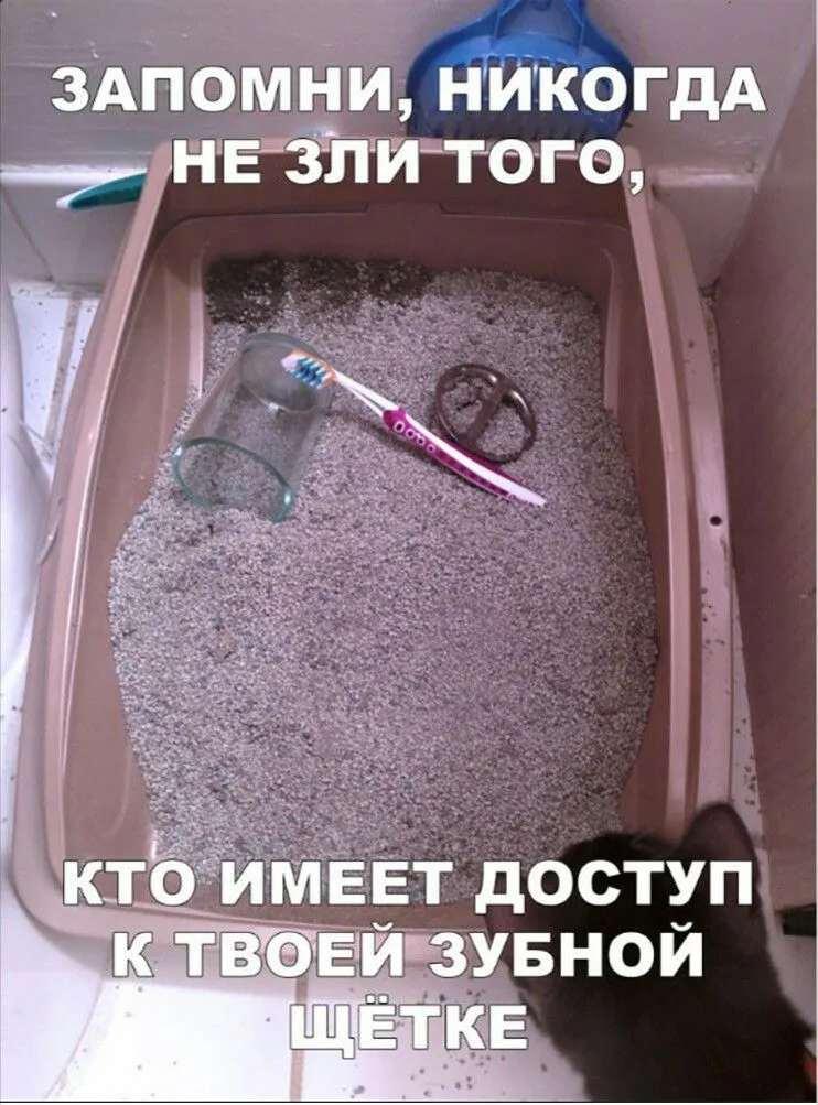 IMG_20211028_061358_928.webp