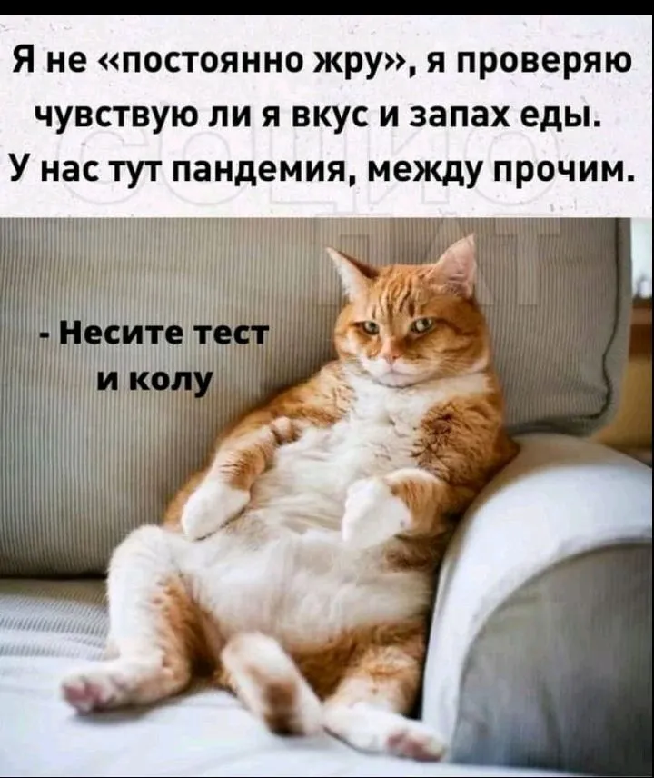 IMG_20211030_143028.webp