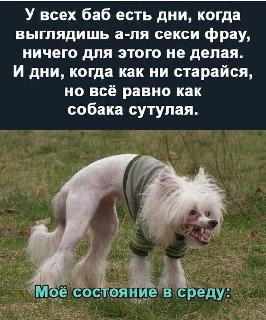 IMG_20211103_094105.webp