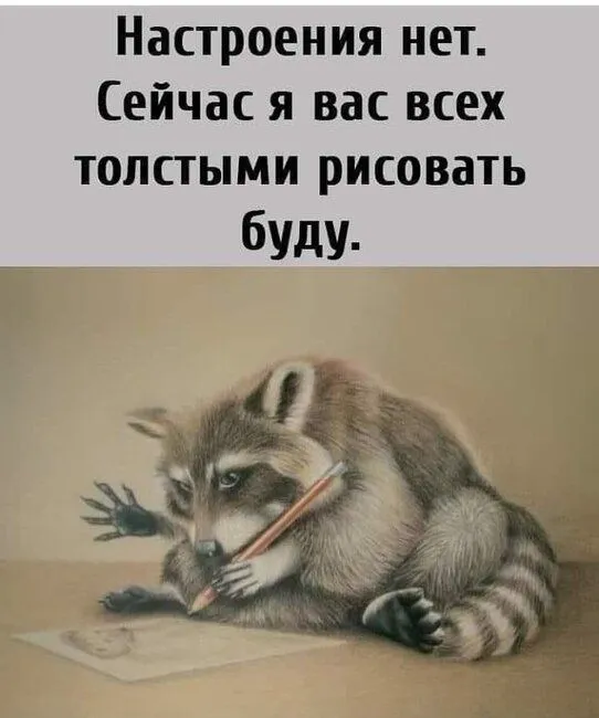 IMG_20211109_064935.webp