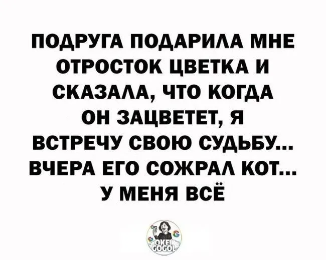 IMG_20211117_225943.webp