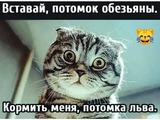 IMG_20211120_075257.webp