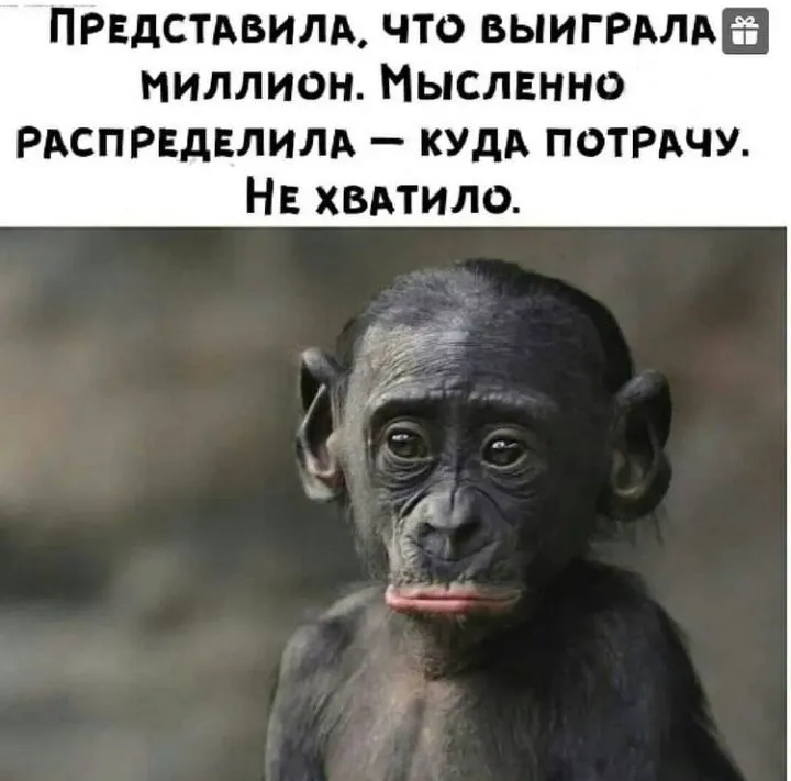 IMG_20211128_141153.webp