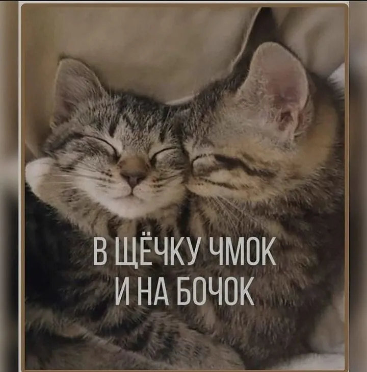 IMG_20211130_224549.webp