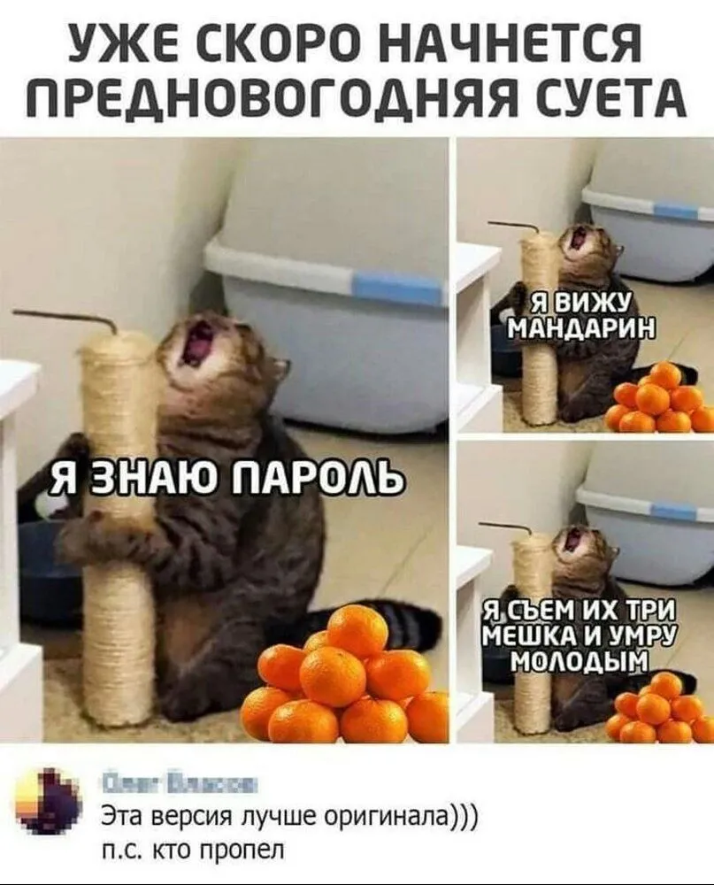 IMG_20211211_052157_801.webp