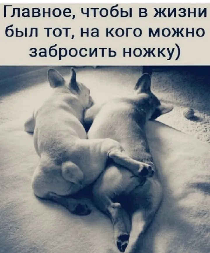 IMG_20211215_174056.webp