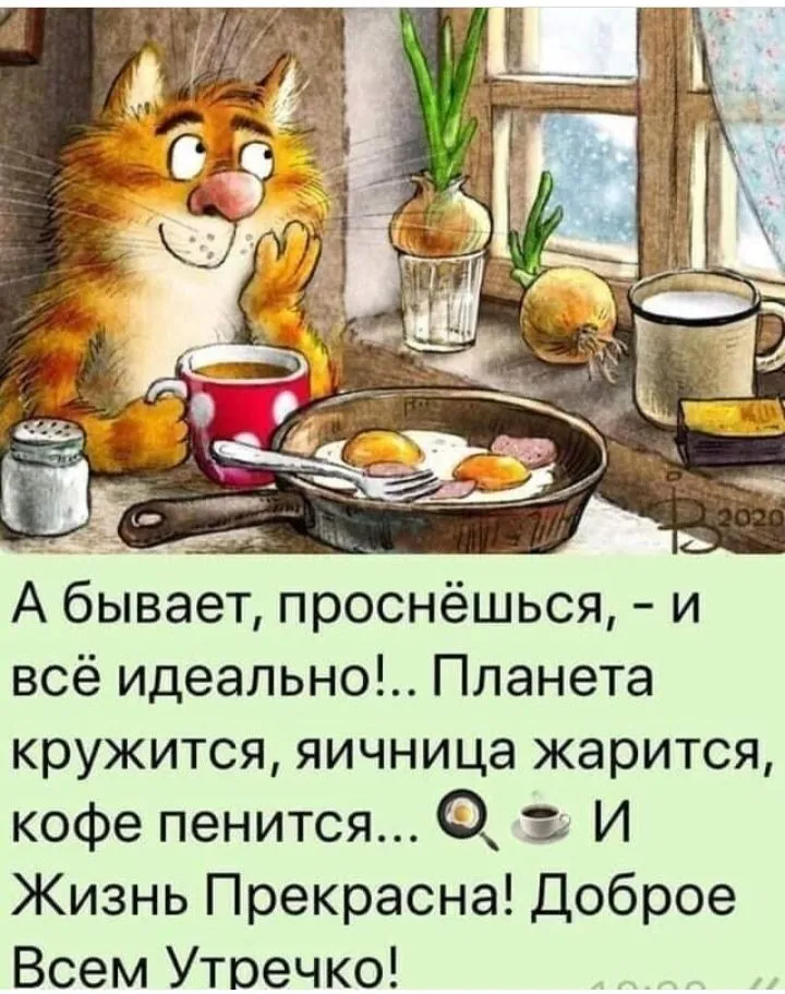 IMG_20211218_071828.webp