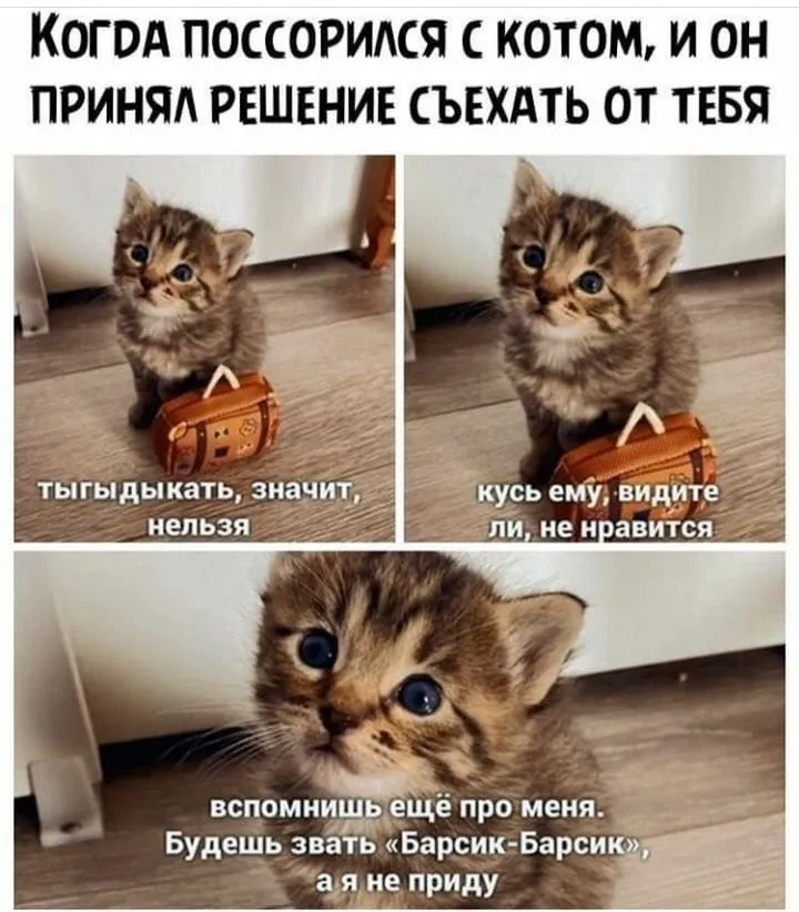 IMG_20211221_073441.webp