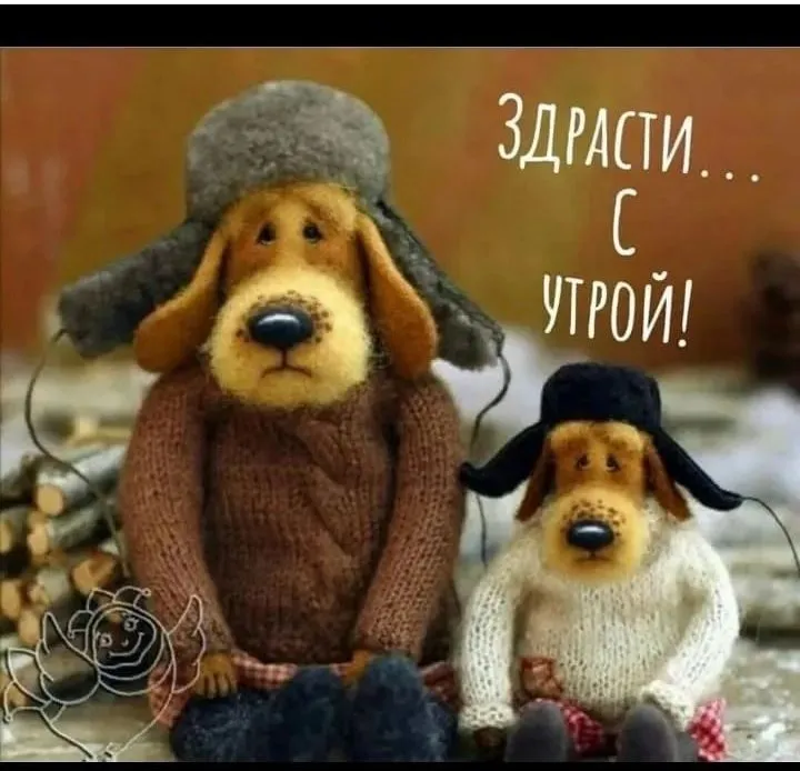 IMG_20211223_191959.webp