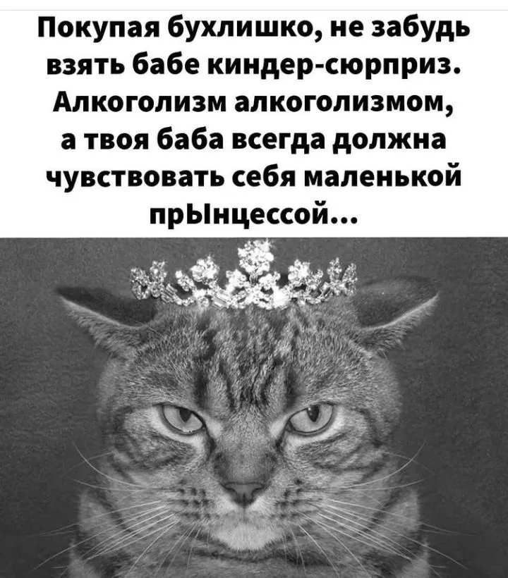 IMG_20211226_081216.webp