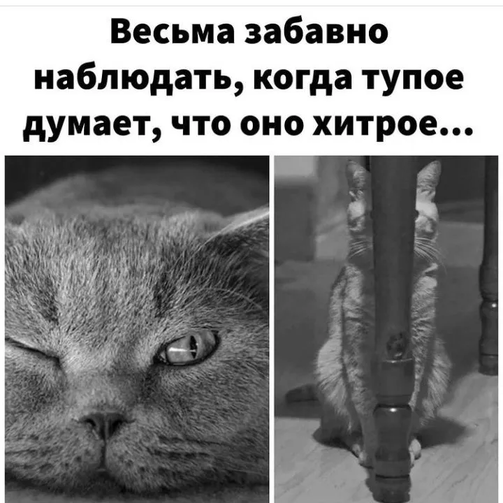 IMG_20211226_081259.webp