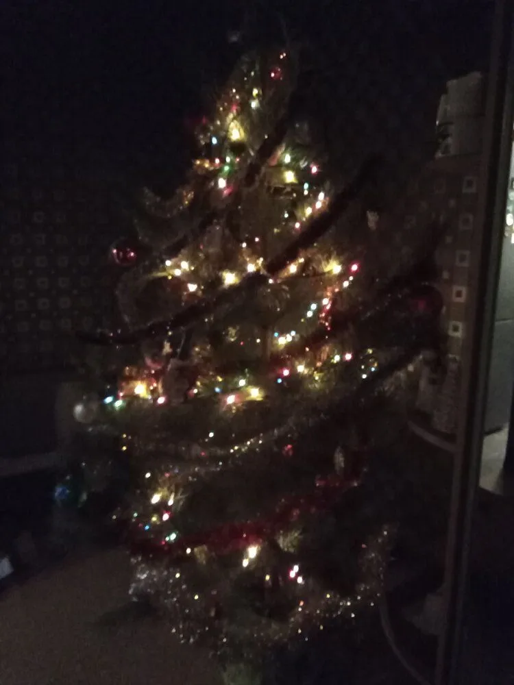 IMG_20211229_181503.jpg