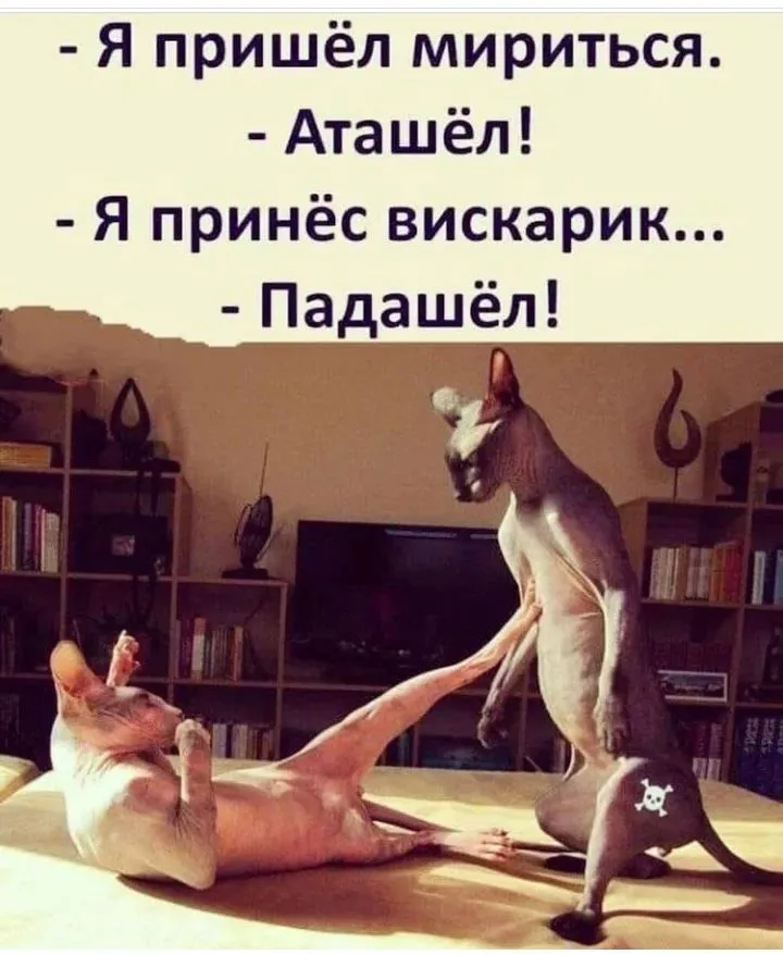 IMG_20220108_141421.webp
