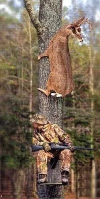 IMG_20220110_201223_082.webp