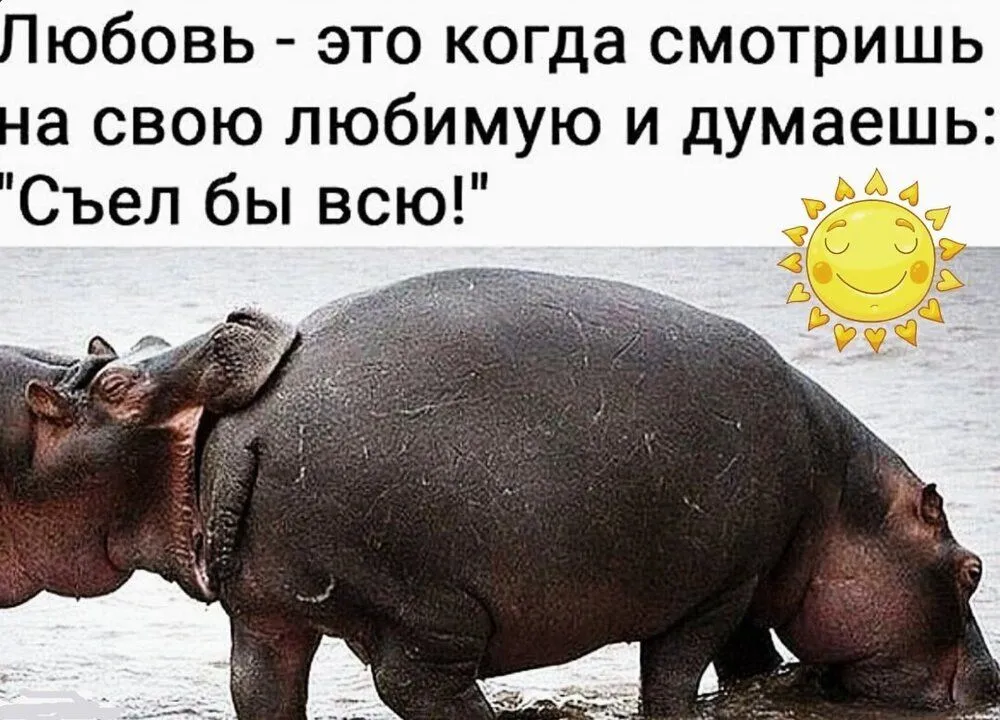 IMG_20220116_131313_951.webp