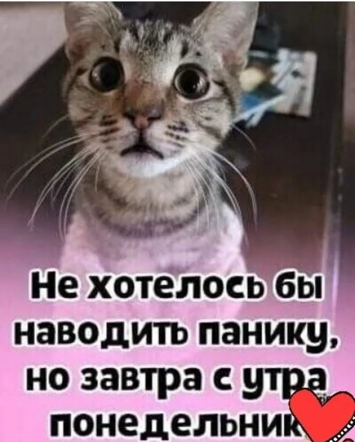 IMG_20220117_200202.webp