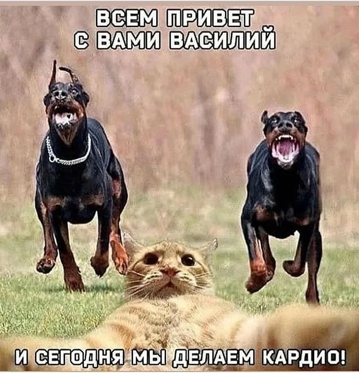 IMG_20220123_075517.webp