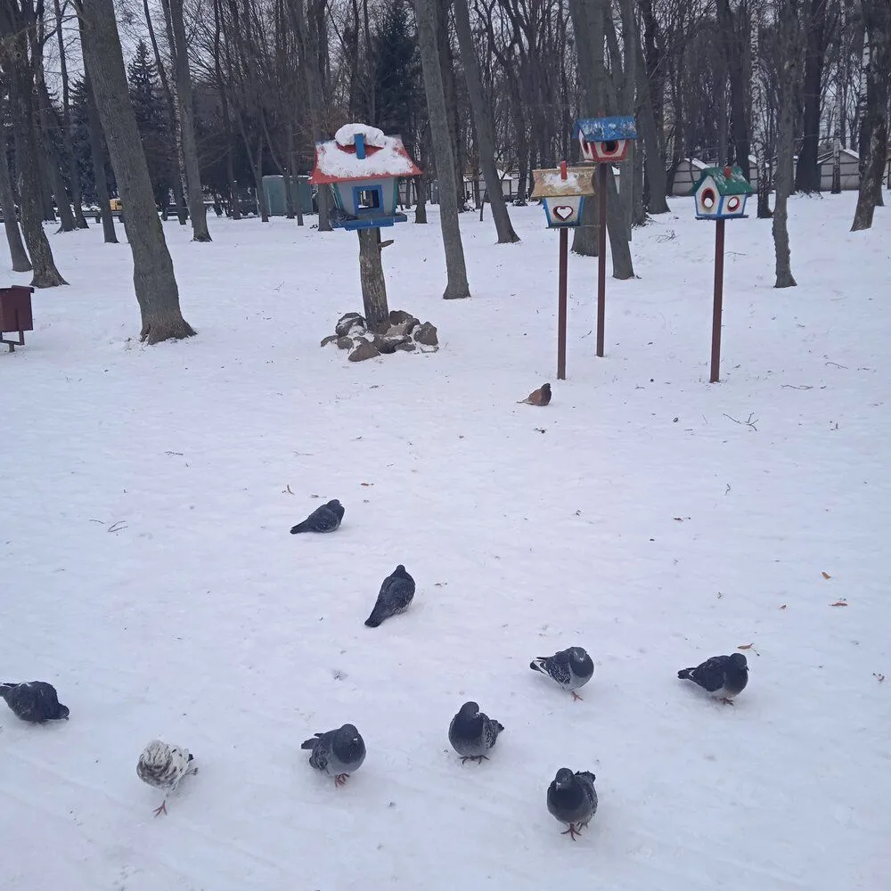 IMG_20220125_084517_1.webp