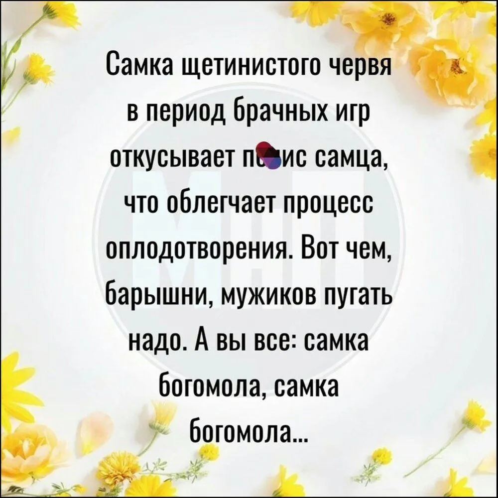 IMG_20220207_015544_999.webp