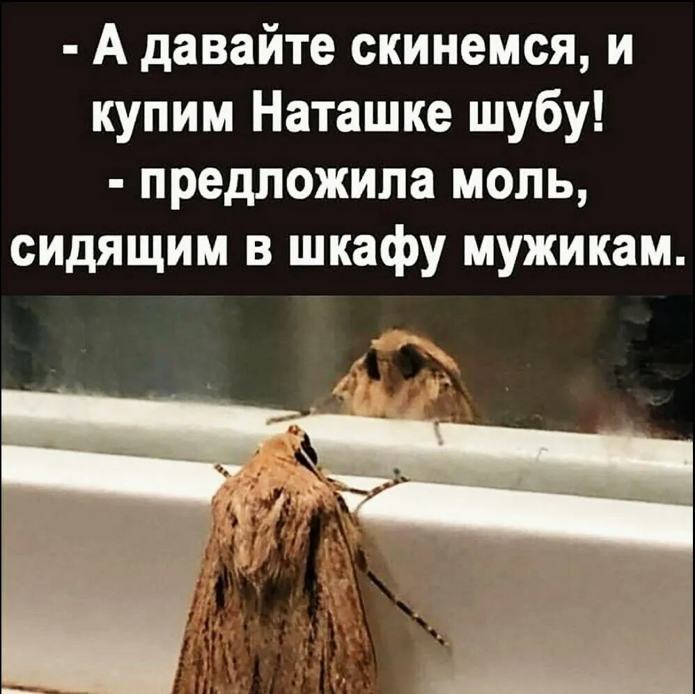 IMG_20220207_213233_710.webp