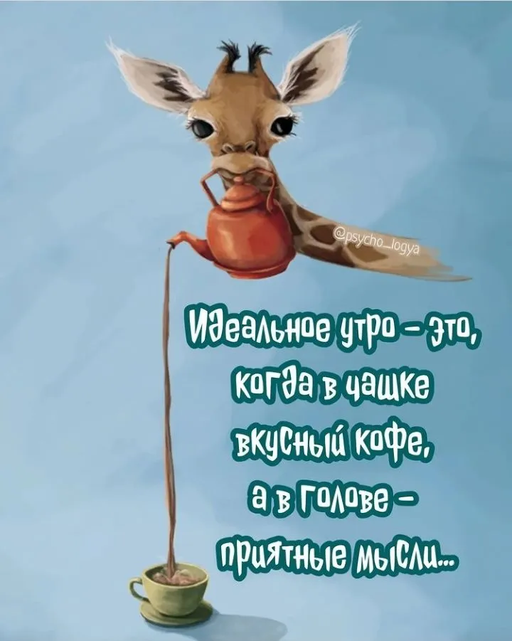 IMG_20220208_205131.webp