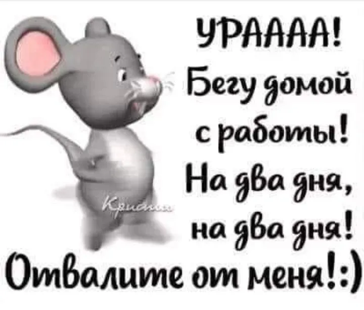 IMG_20220218_160637.webp