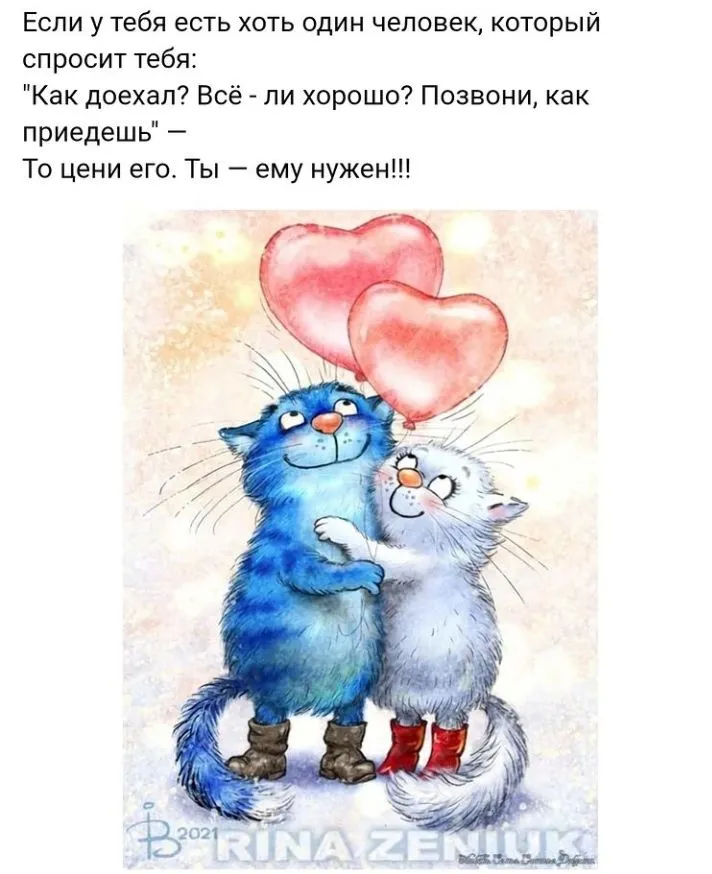 IMG_20220219_091214.webp