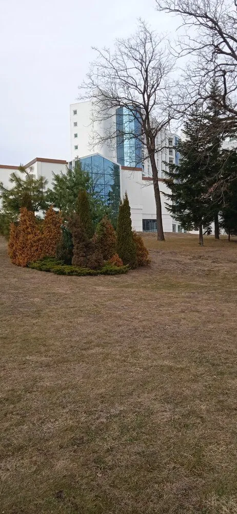 IMG_20220221_142753.webp