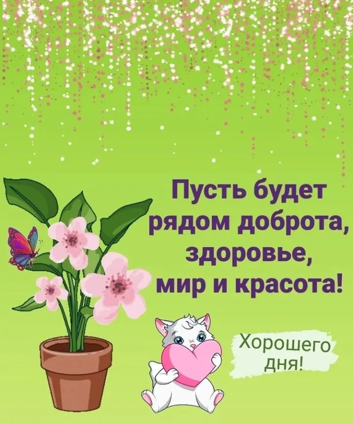 IMG_20220223_053612.webp