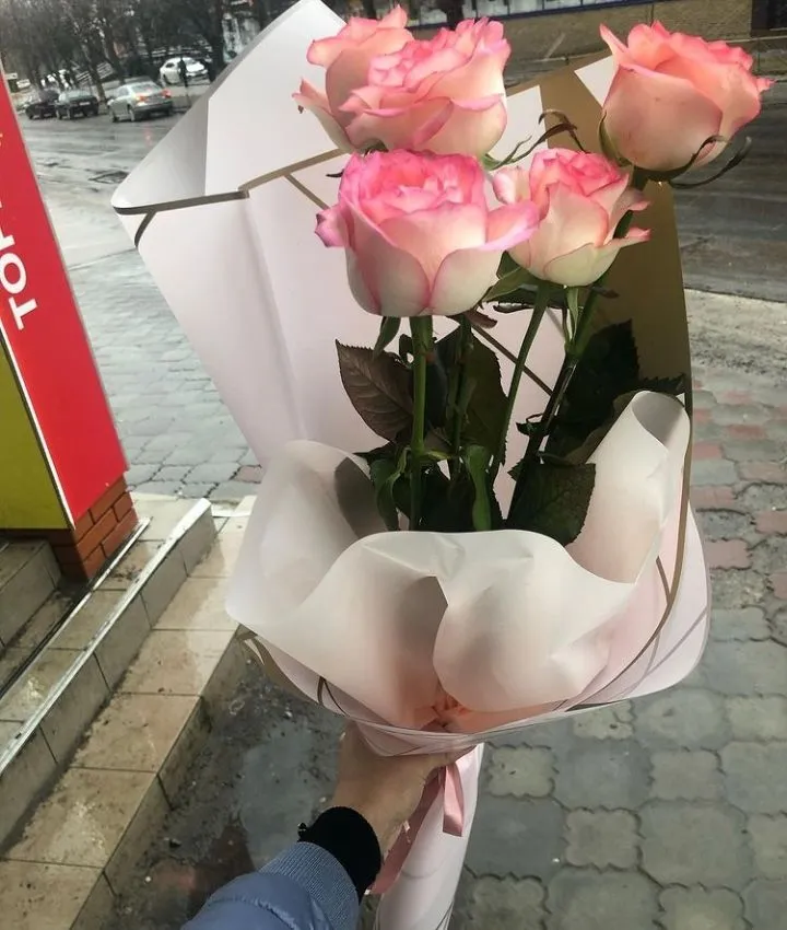 IMG_20220223_125203.webp