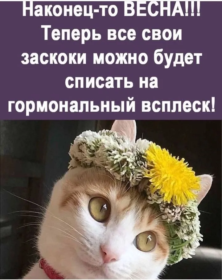 IMG_20220301_120234.webp