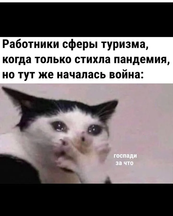 IMG_20220303_071441.webp