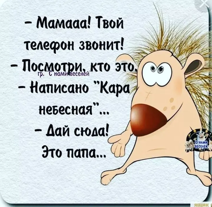 IMG_20220304_224954.webp