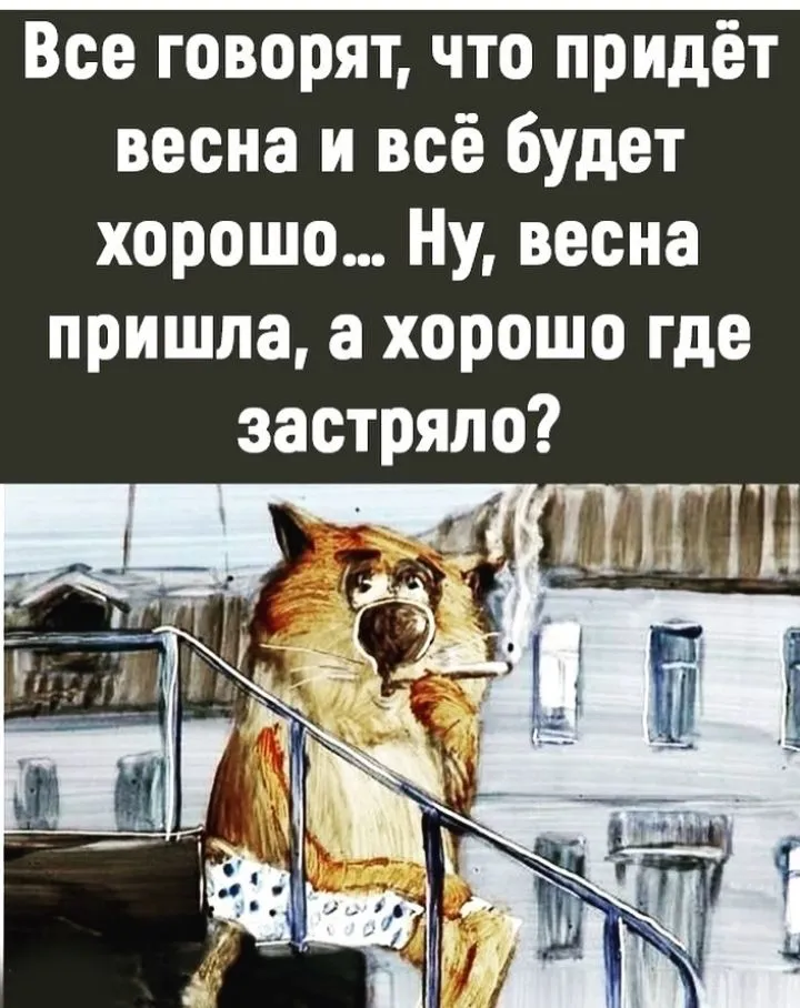 IMG_20220311_213614.webp