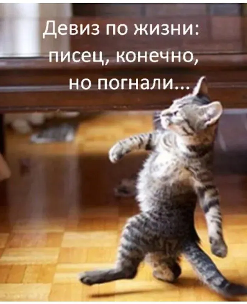 IMG_20220312_163812.webp