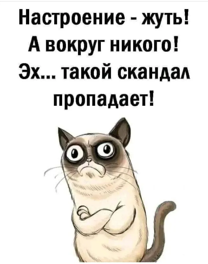 IMG_20220313_071601.webp