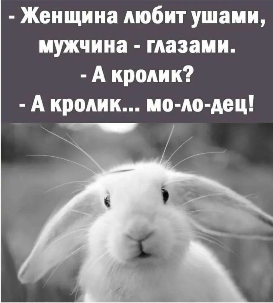 IMG_20220314_001220.webp