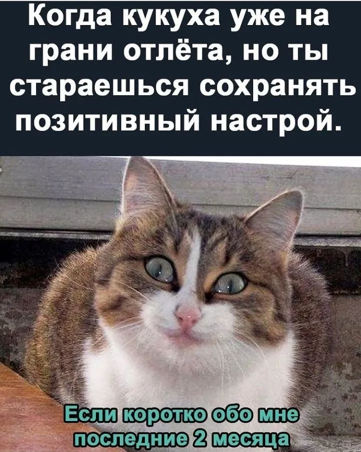 IMG_20220327_200748.webp