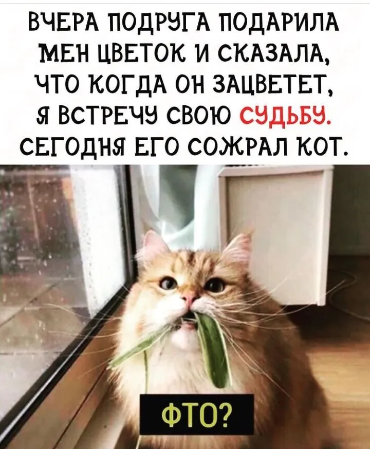IMG_20220401_055838.webp