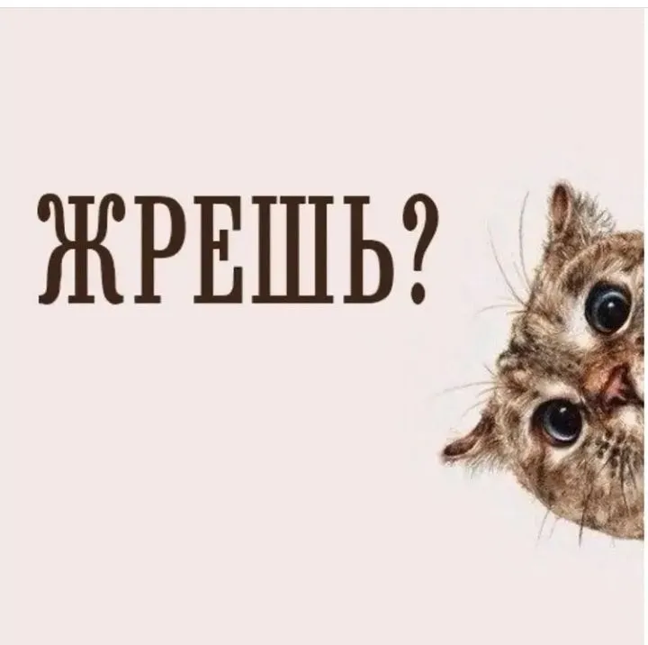 IMG_20220410_184343.webp